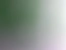 75033679801__93D9659E-BB07-40A9-A2A0-8290F827B6C1