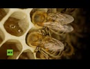 RT Inland Visions (with Peter Scott) - Bashkiria and natural wonders within it (Courtesy: RT)