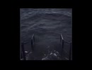 Ocean background meme
