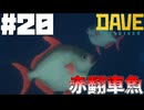 【DAVE THE DIVER】グローブとマンボウとオニイトマキエイ【ゆっくり実況】20貫目