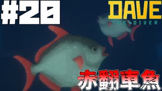 【DAVE THE DIVER】グローブとマンボウとオニイトマキエイ【ゆっくり実況】20貫目