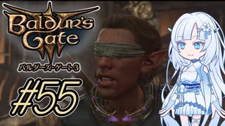 【バルダーズゲート3】雪さんとバルダーズ・ゲート3　Part55【VOICEVOX実況】