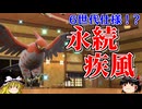 折れない翼でファイアローが先制飛行技を連打するロマンギミックパーティ【ポケモンSV】【ゆっくり実況】