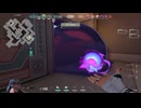 パラノイアをくらっても、冷静に対処する[VALORANT]