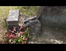【4期】飯食ってうんこして寝るだけ【2024/05/05】