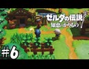 幸せな老後【ゼルダの伝説 知恵のかりもの】06