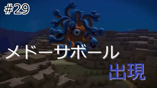 【ゆっくり】さらっとドラクエビルダーズ2実況 Part29