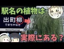 【日帰り旅行祭】鉄道の駅名に入っている植物を実際に探してみた in京都【ソフトウェアトーク】