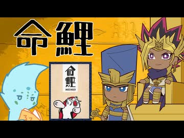 【ボドゲ】遊戯王で「命鯉」