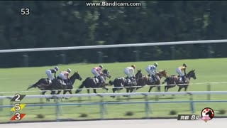 2024 紫菊賞(2歳1勝クラス)　ビップデイジー