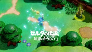 【知恵のかりもの】剣士モードBGM 10分【ゼルダの伝説】