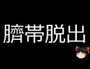 【ゆっくり朗読】ゆっくりさんと不思議な病気 その668