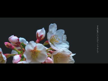 エンディングはいつだって  / GUMI SV