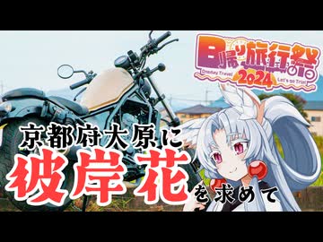 【バイク車載】イタコさんとセイカさんとRebel250でいく京都府大原 【日帰り旅行祭】