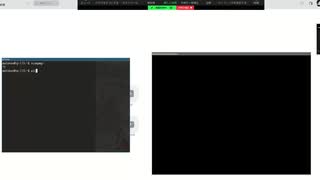 Zoomの画面共有時にLinuxクライアントでは共有部分が真っ黒になってしまう