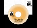 Walter Murphy & The Big Apple Band - A Fifth of Beethoven
