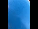 75047172417__92016B47-3AAD-4C4D-A2C0-FD76097FC059