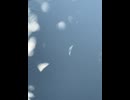 75047241405__2C7CDA77-2E84-4B81-A49E-DB45D9819842