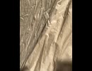 75047250012__0D690306-2354-40C0-A665-9075EF7952AD