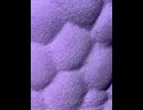 75047296640__672A28AD-8B69-4D93-B4F2-27CED6D52CE0