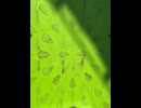 75047688630__C53E53C0-367C-424B-AD23-4795E7C6C02A