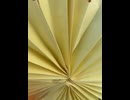 75047885769__A3F9397A-F842-481F-8686-999062B99F52