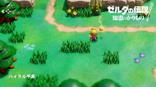 【知恵のかりもの】ハイラル平原(通常フィールド)BGM 10分【ゼルダの伝説】