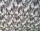75048718771__3023021D-EE50-4FC1-986A-759C4271598A