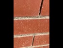 75048747360__AB084645-4D18-4FA6-A809-121B8CB07B3F