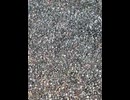 75048771948__C9981E03-8948-4BDA-B396-78D22C456831