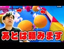 お仲間さんがやってくれました!【フォールガイズ】