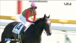 レモンバーム　2歳新馬