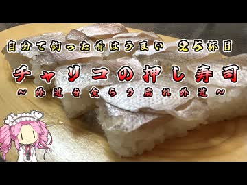 自分で釣った肴はうまい　3杯目　チャリコの押し寿司　～外道を食らう腐れ外道～