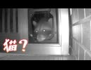 またなんか来た…【獣】