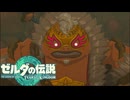 根はいい子なんです『ゼルダの伝説 ティアーズ オブ ザ キングダム』#27