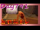 【毎日投稿】ムキ・ムキ・ムキへの道！！！【RFA負荷23】#791