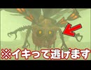 不利になったら逃げるやつ『ゼルダの伝説 ティアーズ オブ ザ キングダム』#33