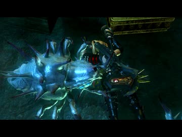 蟲の孕み袋兼魔神ハンター（笑）さん