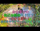 お仕事での自己分析のやり方？！分かる事？！自分史やモチベーショングラフを作ってみませんか？！