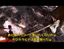 (束の間のチルタイム期間）変態忍者の、有害鳥獣駆除従事活動記・その３０５