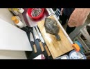 釣った魚をさばいていくっ！