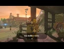 【実況】『ゼルダの伝説 ブレス オブ ザ ワイルド』 Part38