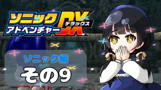 【ソニックアドベンチャーDX】懐かしさに焼かれるゆるりんごのスピード世界マイWAY！その9【ソニック】
