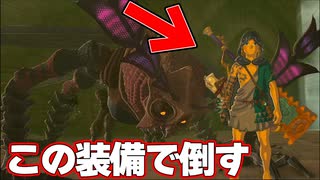 半裸勇者『ゼルダの伝説 ティアーズ オブ ザ キングダム』#34