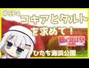 つのせのお外ご飯！#Special4 コキアとタルトを求めて！【日帰り旅行祭2024】