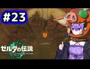 【ゼルダの伝説TotK】結月ゆかりっぽい人と王国の涙 #23【SeirenVoice実況】