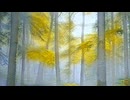 NATURE'S HARMONY☆★長山 知由理☆★