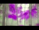 NATURE'S HARMONY☆★長山 知由理☆★