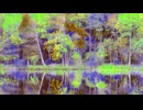 NATURE'S HARMONY☆★長山 知由理☆★