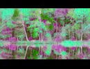 NATURE'S HARMONY☆★長山 知由理☆★